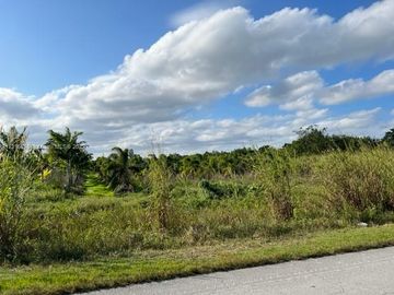 286 SW 112 Ave & 286 St, Unincorporated Dade County, FL, 33033, 