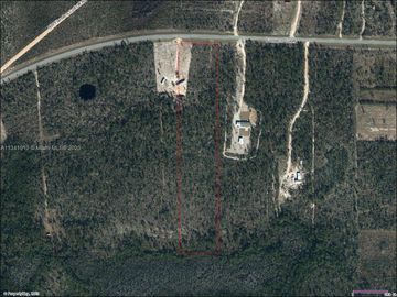 Lot 4 NW CR 274, Other City, FL, 32421, 