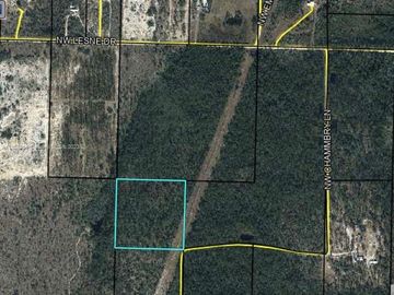 NW CR 167, Other City, FL, 32438, 