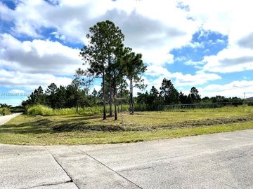 Yard, 118 AVE SW 226 Ter, Goulds, FL, 33170, 