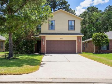 21823 Willow Downs Drive, Tomball, TX, 77375, 