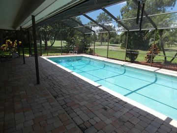 Swimming Pool, 2906 MILL STREAM COURT, Clearwater, FL, 33761, 