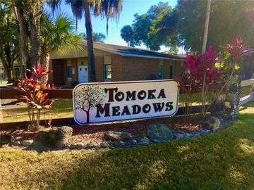 96 TOMOKA MEADOWS BOULEVARD, Ormond Beach, FL, 32174, 