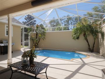 Swimming Pool, 288 SW 121ST WAY, Gainesville, FL, 32607, 