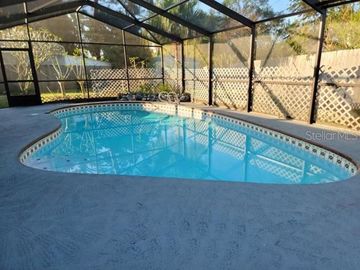 Swimming Pool, 953 LEXINGTON ROAD, Rockledge, FL, 32955, 