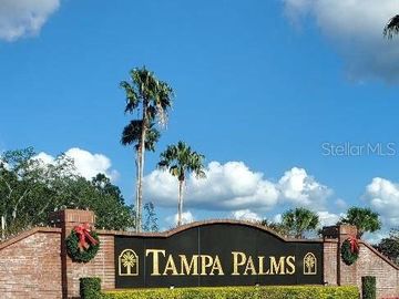 6261 ASHBURY PALMS DRIVE #N/A, Tampa, FL, 33647, 