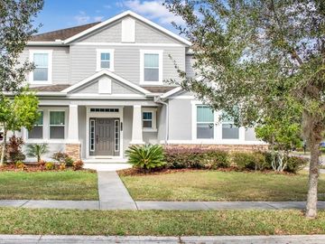 20126 OUTPOST POINT DRIVE, Tampa, FL, 33647, 