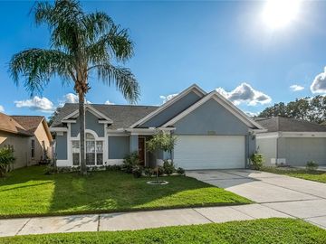 Front, 9729 CYPRESS SHADOW AVENUE, Tampa, FL, 33647, 