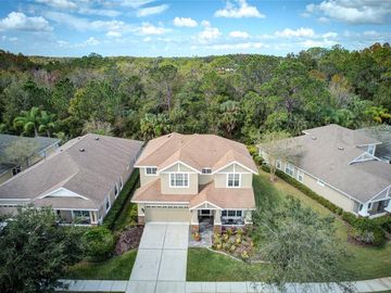 20076 HERITAGE POINT DRIVE, Tampa, FL, 33647, 