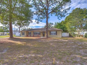 Front, 4337 S COOLIDGE AVENUE, Tampa, FL, 33611, 