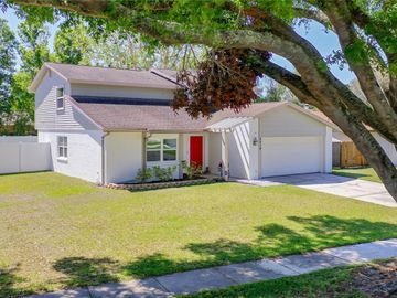 Front, 4914 COUNTRY HILLS DRIVE, Tampa, FL, 33624, 