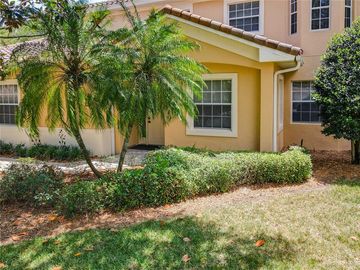 50 CAMINO REAL #504, Howey In The Hills, FL, 34737, 