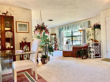Home Office, 12503 WILLOW TREE AVENUE, Hudson, FL, 34669, 