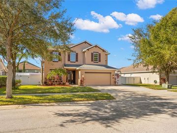 2625 RED FERN DRIVE, Dover, FL, 33527, 