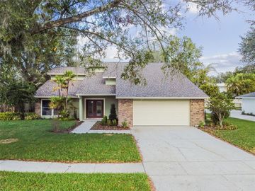 Front, 4205 MEADOW HILL DRIVE, Tampa, FL, 33618, 