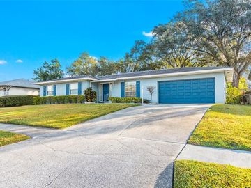 807 CHESS PLACE, Seffner, FL, 33584, 