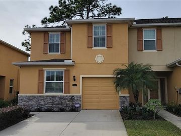 13949 RIVER WILLOW PLACE, Tampa, FL, 33637, 