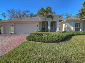 2733 LAKE VALLEY PLACE, Wesley Chapel, FL, 33544, 