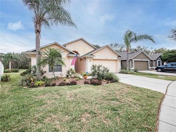 Front, 7137 COLONY POINTE DRIVE, Riverview, FL, 33578, 