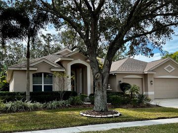 Front, 3900 MIMOSA PLACE, Palm Harbor, FL, 34685, 