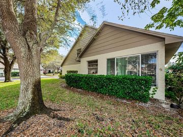 Front, 3428 ANNETTE COURT, Clearwater, FL, 33761, 