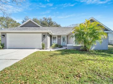 Front, 15107 LAKE HOLLY PLACE, Tampa, FL, 33625, 