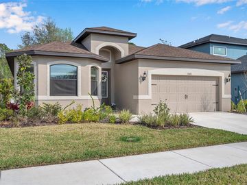 Front, 11620 WEAVER HOLLOW ROAD, New Port Richey, FL, 34654, 