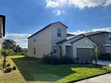 3718 DAISY BLOOM PLACE, Tampa, FL, 33619, 