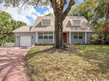 Front, 3810 RIVER GROVE DRIVE, Tampa, FL, 33610, 