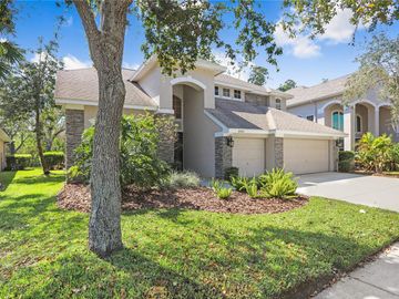 Front, 10420 GREENMONT DRIVE, Tampa, FL, 33626, 