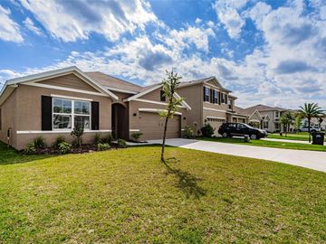 Front, 2869 LIVING CORAL DRIVE, Odessa, FL, 33556, 