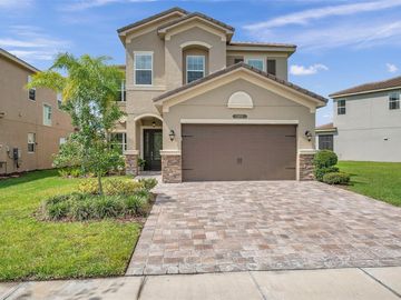 Front, 31011 LINDENTREE DRIVE, Wesley Chapel, FL, 33543, 