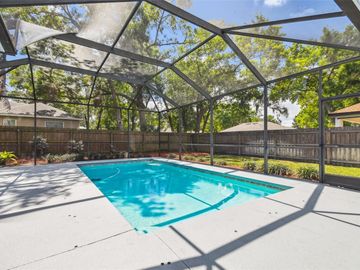 Swimming Pool, 1711 BROOKSTONE WAY, Plant City, FL, 33566, 