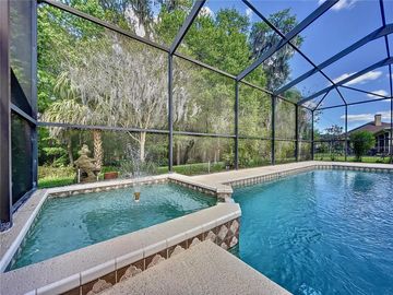 Swimming Pool, 4186 GEVALIA DR, Brooksville, FL, 34604, 