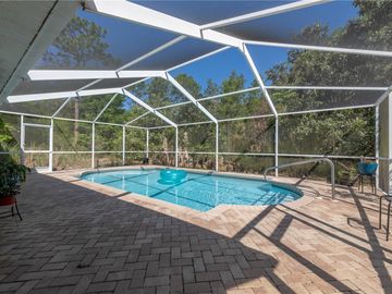 Swimming Pool, 751 E REEHILL STREET, Lecanto, FL, 34461, 