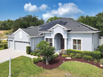 Front, 1805 MOUNTAIN ASH WAY, New Port Richey, FL, 34655, 