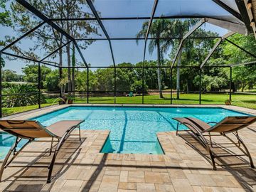Swimming Pool, 518 CRYSTAL GROVE, Lutz, FL, 33548, 
