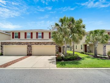 Front, 13201 CANOPY CREEK DRIVE, Tampa, FL, 33625, 