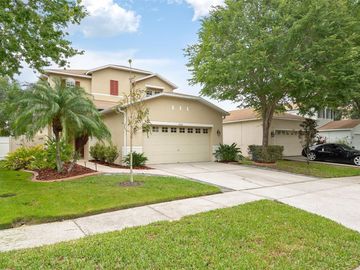 Front, 19522 TIMBERBLUFF DRIVE, Land O Lakes, FL, 34638, 