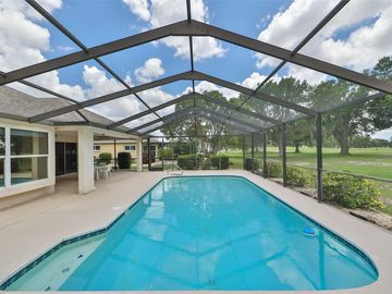 Swimming Pool, 2020 PRESTANCIA LANE, Sun City Center, FL, 33573, 