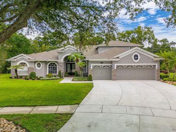 Front, 2246 CLIMBING IVY DRIVE, Tampa, FL, 33618, 