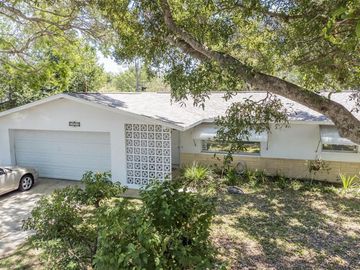 Yard, 1807 LADY MARY DRIVE, Clearwater, FL, 33756, 