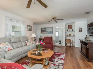 G, Living Room, 1733 W MANOR AVENUE, Clearwater, FL, 33765, 