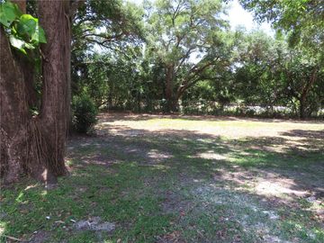Yard, 1167 MISSION CIRCLE, Clearwater, FL, 33759, 