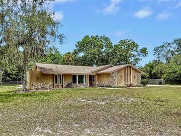 Front, 10297 LAKEVIEW DRIVE, New Port Richey, FL, 34654, 