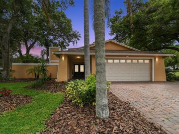 Front, 16234 W COURSE DRIVE, Tampa, FL, 33624, 