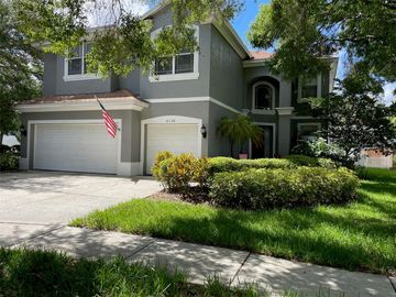 Front, 6138 NATIVE WOODS DRIVE, Tampa, FL, 33625, 
