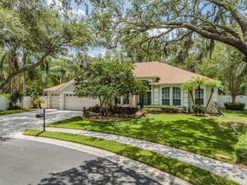 Front, 4102 IMPERIAL EAGLE DRIVE, Valrico, FL, 33594, 
