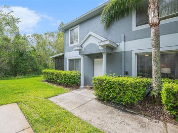 18117 PARADISE POINT DRIVE, Tampa, FL, 33647, 