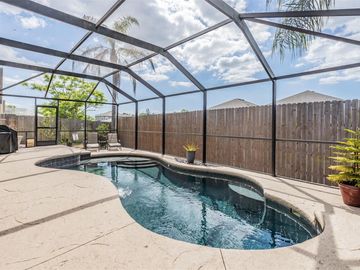 Swimming Pool, 11714 CARROLLWOOD COVE DRIVE, Tampa, FL, 33624, 